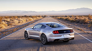 silver coupe ion road, Ford, Ford Mustang, GT, 2015