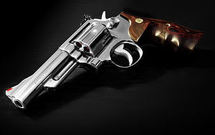 silver and brown revolver HD wallpaper