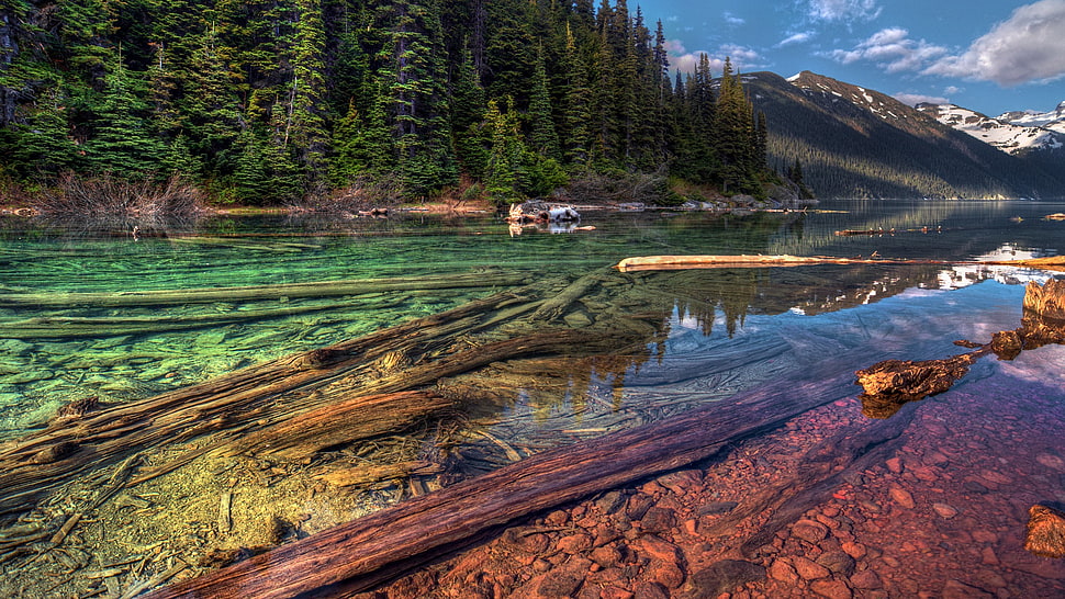 brown wood logs on body of water near mountain during daytime HD wallpaper