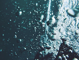 macro photography of water splash