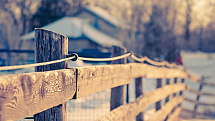 selective focus photography of brown wooden railings near house, fence, filter, depth of field HD wallpaper