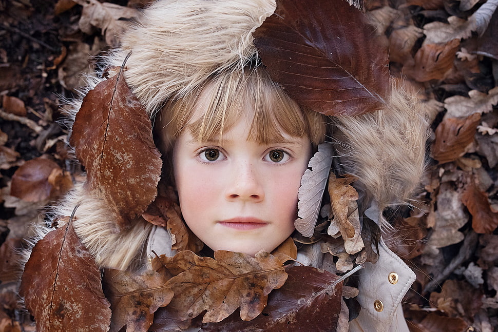 closeup photography of girl's face surrounded by dried leaves HD wallpaper