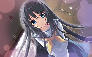 girl anime character in black hair HD wallpaper