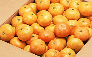 orange fruit lot in box