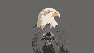American bald eagle illustration, Assassin's Creed, simple, simple background, eagle