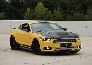 yellow and black Ford Mustang parked on concrete road