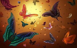 butterflies illustration