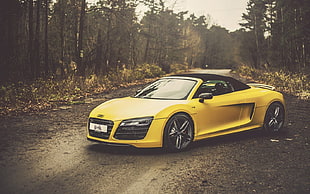 yellow and black Audi R8 coupe, car, Audi, yellow, Audi R8 Spyder