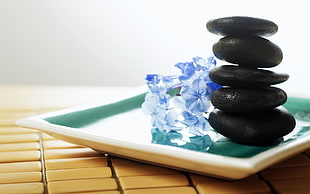 five piled black stones on white plate near blue flowers
