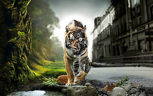 orange and gray tiger digital wallpaper