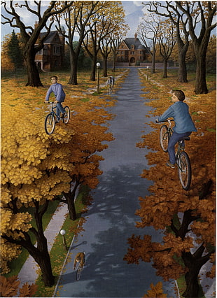 people biking at park illustration, optical illusion HD wallpaper