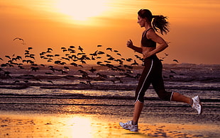 woman jogging near seashore HD wallpaper