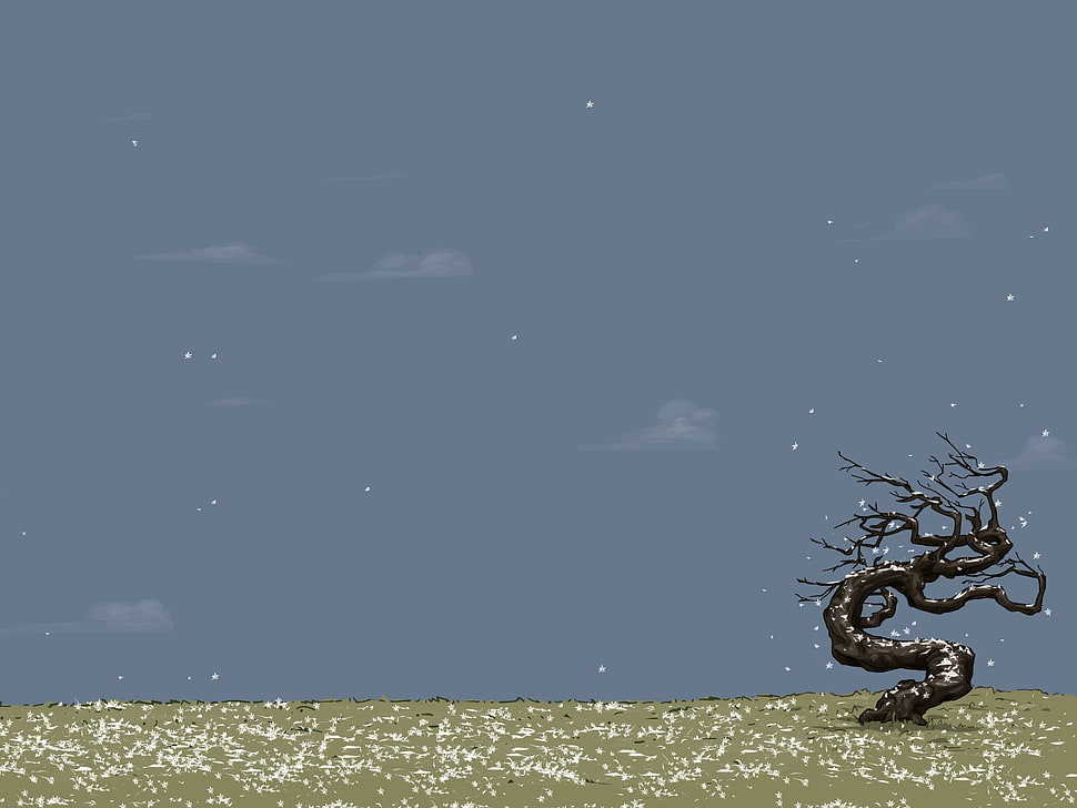 illustration of bare tree covered with snow HD wallpaper