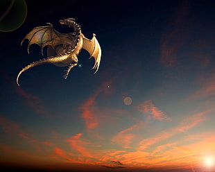 gray dragon in flight during golden hour fanart, artwork, dragon, fantasy art