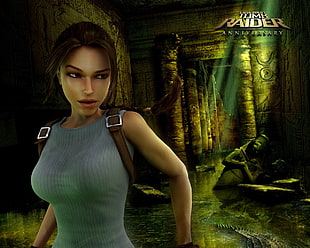 Lara Croft Tomb Raider Anniversary game cover, video games, Tomb Raider