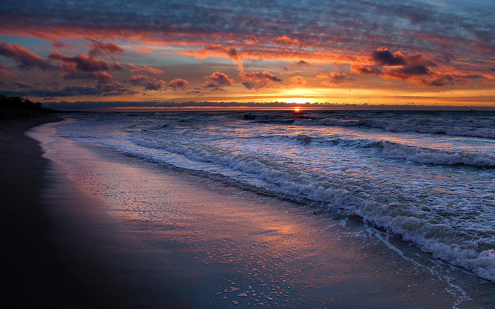 seashore during golden hour HD wallpaper