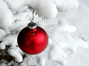 closeup photo of red Christmas bauble hanging on pine tree leaf covered with snow