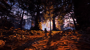 person in forest with tall trees digital wallpaper, horizon zero dawn , video games, Aloy (Horizon: Zero Dawn), Horizon: Zero Dawn