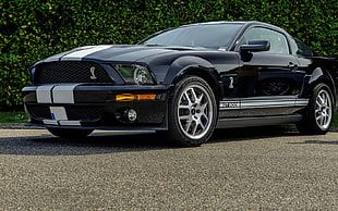 black and white Shelby Mustang GT 500 HD wallpaper
