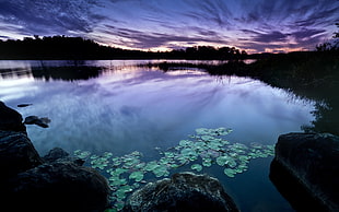 photo of still water HD wallpaper
