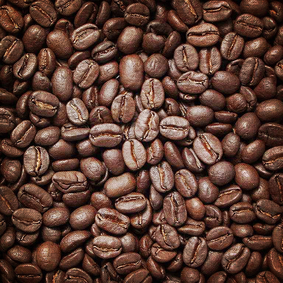 closeup photo of coffee beans HD wallpaper