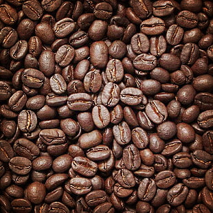 closeup photo of coffee beans