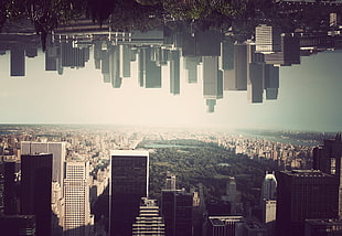 New York Park and city building in a upside down photo