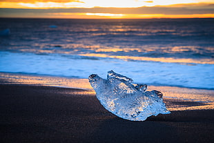 closeup photography of white crystal on seashore during golden hour