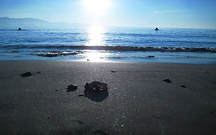 seashore during daytime