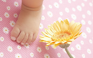 yellow daisy flower near baby's foot