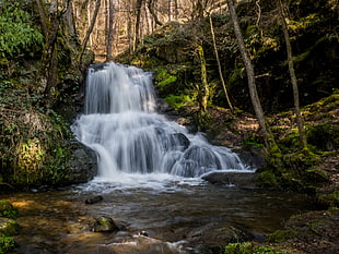 waterfalls beside trees during daytime HD wallpaper