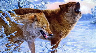 two brown wolves, wolf, artwork, animals