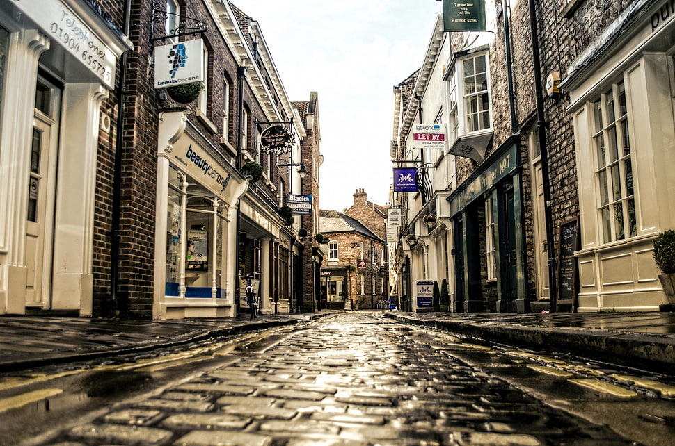 worm's eye view of gray bricked pathway HD wallpaper