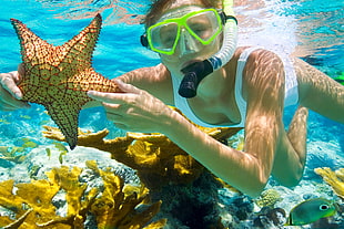underwater photography of woman taking photo with brown starfish during daytime HD wallpaper
