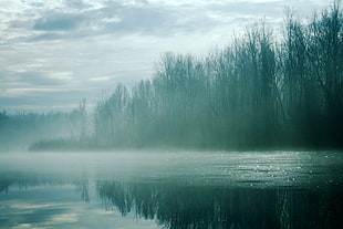 lake water and trees under grey cloudy sky scenery