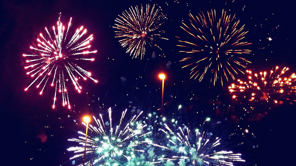 fireworks display, fireworks, night HD wallpaper