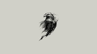 sketch of black eagle HD wallpaper