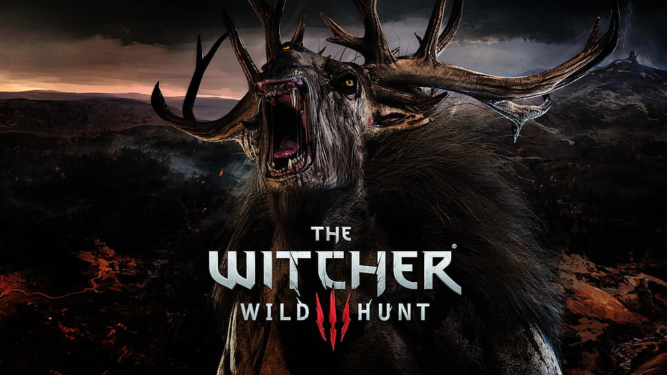 The Witcher Wild Hunt cover, The Witcher, The Witcher 3: Wild Hunt HD wallpaper