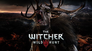 The Witcher Wild Hunt cover, The Witcher, The Witcher 3: Wild Hunt