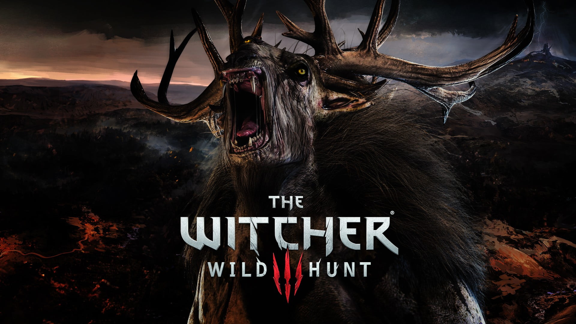 The Witcher Wild Hunt cover, The Witcher, The Witcher 3: Wild Hunt