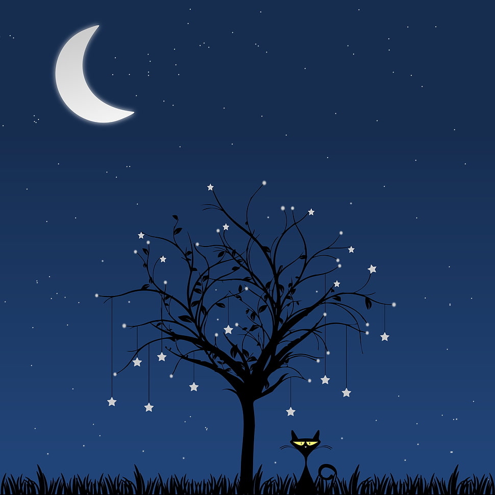 black cat illustration, Cat, Art, Tree HD wallpaper