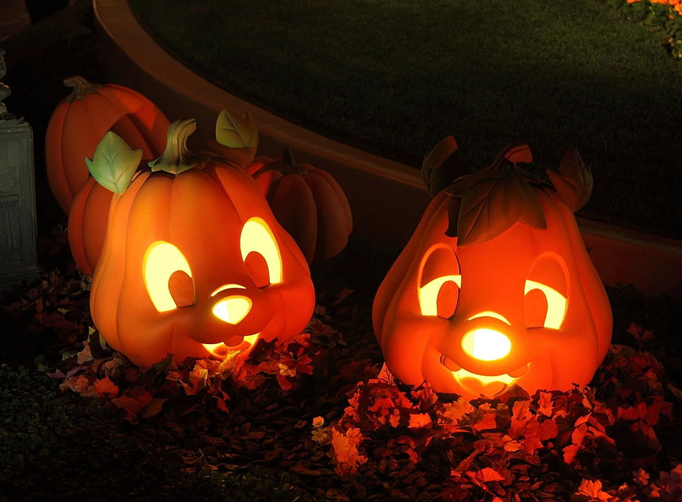 two orange jack o lantern with candle lights HD wallpaper