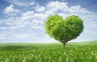 green heart tree graphic wallpaper
