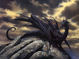 black dragon on rock digital wallpaper, fantasy art, dragon