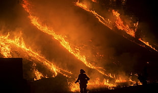 orange wildfire, fire