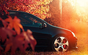 black car between tree, Volkswagen, Volkswagen Golf Mk5 HD wallpaper