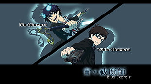 Rin Okumura and Yukio Okumura Blue Exorcist, Okumura Rin, Okumura Yukio, anime, Blue Exorcist HD wallpaper