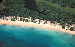 aerial photo of beach, nature, landscape, aerial view, beach HD wallpaper