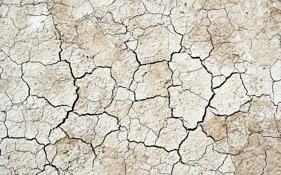 dry brown soil HD wallpaper
