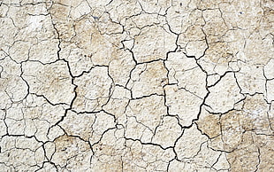 dry brown soil